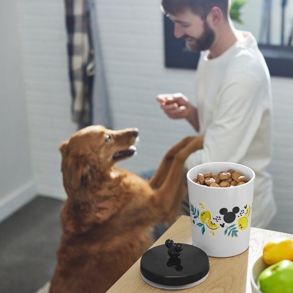 STAR WARS Melamine Dog & Cat Treat Jar