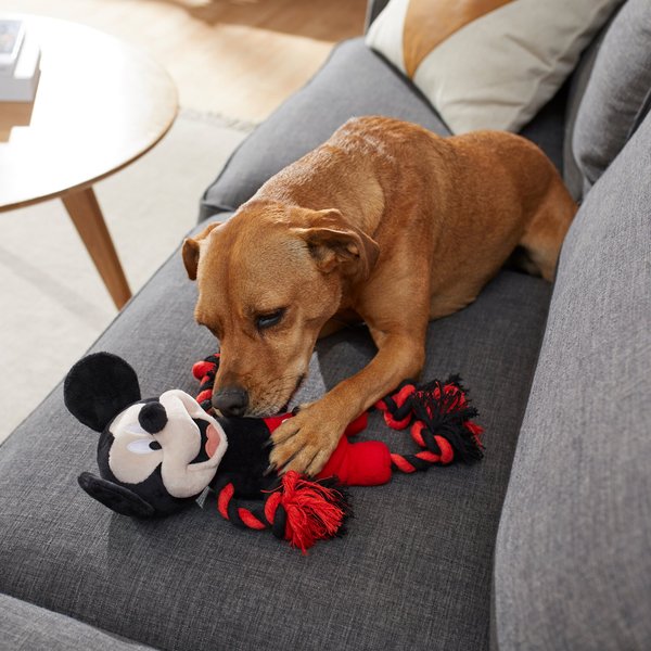 Disney Mickey Mouse Textured Plush Squeaky Dog Toy