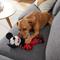 Show in main carousel: Disney Mickey Mouse Plush with Rope Squeaky Dog Toy slide 3 of 5