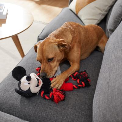 Show full view: Disney Mickey Mouse Plush with Rope Squeaky Dog Toy slide 3 of 5