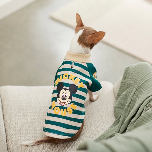 Disney Mickey Mouse Rugby Dog & Cat Polo