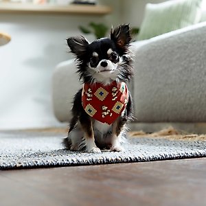 Disney Mickey Mouse Southwest Patterned Dog & Cat Bandana, Medium/Large