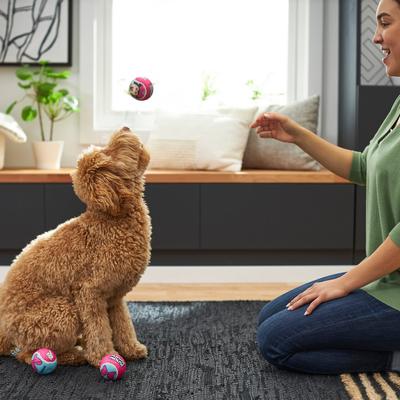 Show full view: Disney Minnie Mouse Fetch Squeaky Tennis Ball Dog Toy, 3 count slide 3 of 5