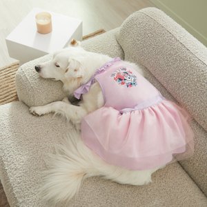 Disney Minnie Mouse "One of a Kind" Dog & Cat Dress, X-Large
