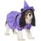Show in main carousel: Disney Minnie Mouse Witch Dog & Cat Costume, Large slide 1 of 8