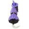 Show in main carousel: Disney Minnie Mouse Witch Dog & Cat Costume, Large slide 4 of 8