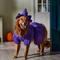 Show in main carousel: Disney Minnie Mouse Witch Dog & Cat Costume, Large slide 7 of 8
