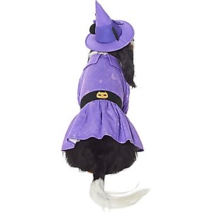 Disney Minnie Mouse Witch Dog & Cat Costume, Medium
