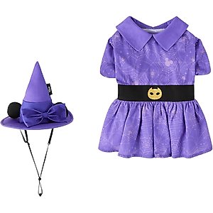 Disney Minnie Mouse Witch Dog & Cat Costume, Medium