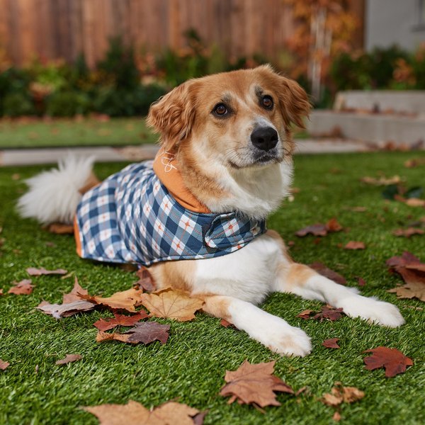 Show full view: Disney Minnie Quilted Dog & Cat Puffer Coat, XXX-Large slide 5 of 7