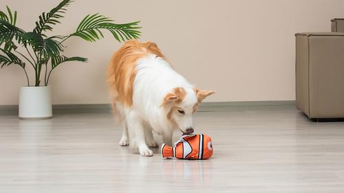 Show full view: DISNEY PIXAR Finding Nemo Nemo Squeaky Plush Dog Toy, 9-in slide 5 of 6