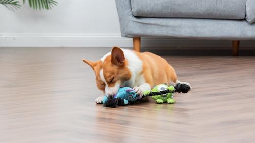 Show full view: DISNEY PIXAR Monsters, Inc. Sulley & Mike Squeaky Plush Dog Toy slide 5 of 5