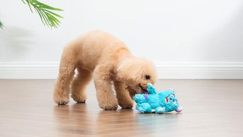 Show full view: DISNEY PIXAR Monsters, Inc. Sully Squeaky Plush Dog Toy, 6-in slide 6 of 7