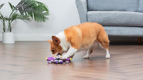 Show full view: DISNEY PIXAR Toy Story Buzz Squeaky Plush Dog Toy, 9-in slide 5 of 5