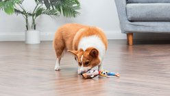 DISNEY PIXAR Toy Story Woody Squeaky Plush Dog Toy, 9-in slide 2 of 5