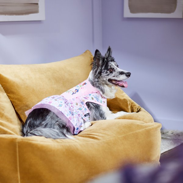 Show full view: Disney Princesses "Be-YOU-tiful" Dog & Cat Dress, Medium slide 6 of 8