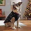 Show in main carousel: Disney Villains "Naughty List" Dog & Cat Sweater, XX-Large slide 6 of 8