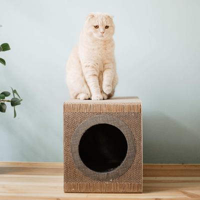 Show full view: District 70 MIXTAPE Retro Cardboard Cat Scratcher, Large, Black slide 8 of 9