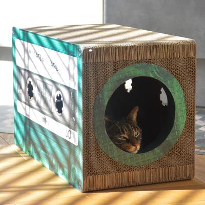 Show full view: District 70 MIXTAPE Retro Cardboard Cat Scratcher, Large, Emerald slide 4 of 7