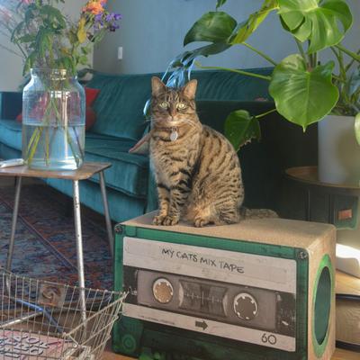 Show full view: District 70 MIXTAPE Retro Cardboard Cat Scratcher, Large, Emerald slide 5 of 7