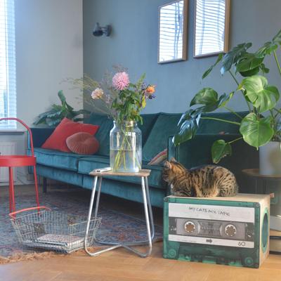 Show full view: District 70 MIXTAPE Retro Cardboard Cat Scratcher, Large, Emerald slide 6 of 7