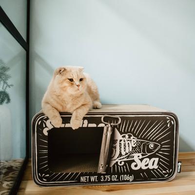 Show full view: District 70 SARDINE Cardboard Cat Scratcher, Black slide 7 of 10