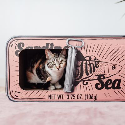 Show full view: District 70 SARDINE Cardboard Cat Scratcher, Pink slide 7 of 9