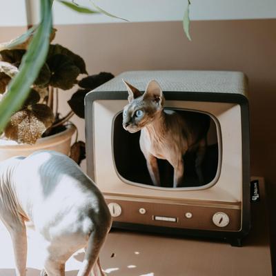 Show full view: District 70 TELLY Retro Design Cat Scratcher, Brown slide 5 of 9