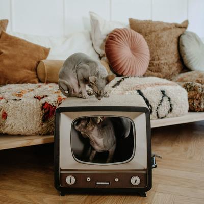 Show full view: District 70 TELLY Retro Design Cat Scratcher, Brown slide 6 of 9