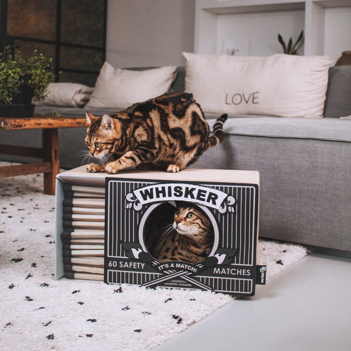 District 70 WHISKER Cardboard Cat Scratcher, Black