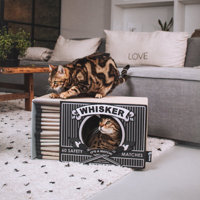 District 70 District 70 WHISKER Cardboard Cat Scratcher, Black