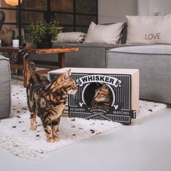 District 70 WHISKER Cardboard Cat Scratcher, Black slide 2 of 4