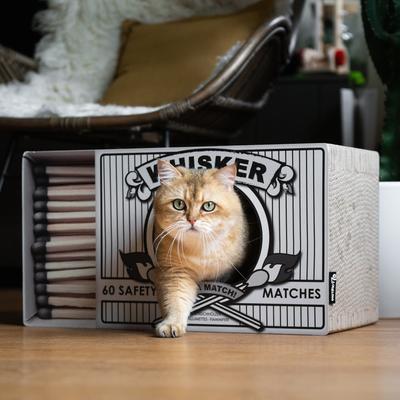 Show full view: District 70 WHISKER Cardboard Cat Scratcher, White slide 2 of 3