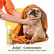 Show in main carousel: Divine Canine Anti-Itch Heavenly Coconut, Aloe & Vitamin E Dog Shampoo, 13.5-fl oz bottle slide 6 of 9