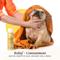 Show in main carousel: Divine Canine Anti-Itch Heavenly Coconut, Aloe & Vitamin E Dog Shampoo, 13.5-fl oz bottle slide 7 of 10