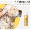 Show in main carousel: Divine Canine Anti-Itch Heavenly Coconut, Aloe & Vitamin E Dog Shampoo, 13.5-fl oz bottle slide 4 of 9