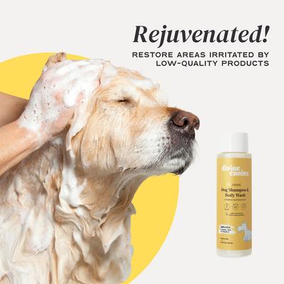 Show full view: Divine Canine Anti-Itch Heavenly Coconut, Aloe & Vitamin E Dog Shampoo, 13.5-fl oz bottle slide 5 of 10