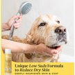 Show in main carousel: Divine Canine Anti-Itch Heavenly Coconut, Aloe & Vitamin E Dog Shampoo, 13.5-fl oz bottle slide 3 of 9