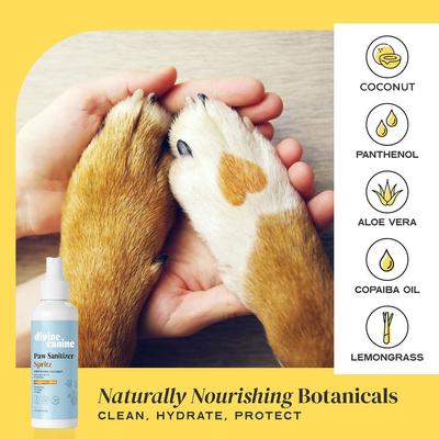 Show full view: Divine Canine Coconut-Moisturizing Paw Sanitizer Spritz, Anti-Bacterial & Anti-Fungal Alchohol-Free Dog Paw Cleaner, 5.1-fl oz spray slide 3 of 10