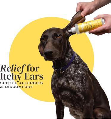 Show full view: Divine Canine Essential Ear Cleanser, Anti-Microbial & Anti-Odor Solution Dog Ear Cleaner, 4-fl oz bottle slide 3 of 11