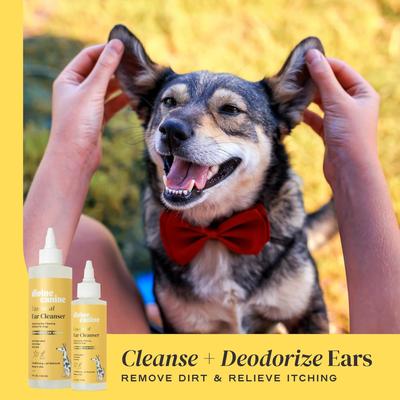 Show full view: Divine Canine Essential Ear Cleanser, Anti-Microbial & Anti-Odor Solution Dog Ear Cleaner, 8-fl oz bottle slide 7 of 11