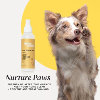 Show full view: Divine Canine Original Paw Sanitizer Spritz, Anti-Bacterial & Anti-Fungal Alcohol-Free Dog Paw Cleaner, 5.1-fl oz bottle slide 5 of 9
