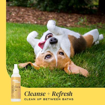 Show full view: Divine Canine Purifying Hair & Body Mist, Alcohol-Free Cleansing & Detoxifying Dog Spray, 5.1-fl oz bottle slide 5 of 10