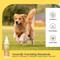 Show in main carousel: Divine Canine Purifying Hair & Body Mist, Alcohol-Free Cleansing & Detoxifying Dog Spray, 5.1-fl oz bottle slide 4 of 10