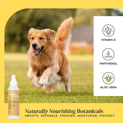 Show full view: Divine Canine Purifying Hair & Body Mist, Alcohol-Free Cleansing & Detoxifying Dog Spray, 5.1-fl oz bottle slide 4 of 10