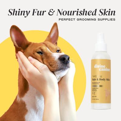 Show full view: Divine Canine Purifying Hair & Body Mist, Alcohol-Free Cleansing & Detoxifying Dog Spray, 5.1-fl oz bottle slide 3 of 10
