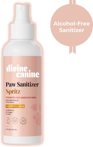 Show full view: Divine Canine Rosewater-Infused Paw Sanitizer Spritz, Anti-Bacterial & Anti-Fungal Alchohol-Free Dog Paw Cleaner, 5.1-fl oz spray slide 1 of 9