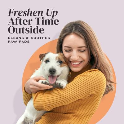 Show full view: Divine Canine Rosewater-Infused Paw Sanitizer Spritz, Anti-Bacterial & Anti-Fungal Alchohol-Free Dog Paw Cleaner, 5.1-fl oz spray slide 8 of 9