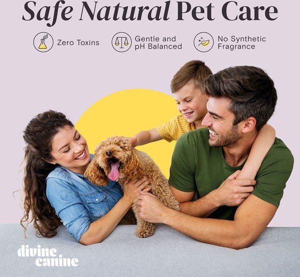Show full view: Divine Canine Rosewater-Infused Paw Sanitizer Spritz, Anti-Bacterial & Anti-Fungal Alchohol-Free Dog Paw Cleaner, 5.1-fl oz spray slide 7 of 9