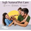 Show in main carousel: Divine Canine Rosewater-Infused Paw Sanitizer Spritz, Anti-Bacterial & Anti-Fungal Alchohol-Free Dog Paw Cleaner, 5.1-fl oz spray slide 7 of 9
